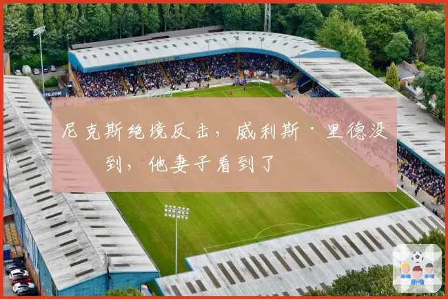 尼克斯绝境反击，威利斯·里德没看到，他妻子看到了